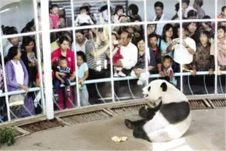 天津动物园爆料视频网红,萌态可掬引网友热议 第2张 天津动物园爆料视频网红,萌态可掬引网友热议 第2张